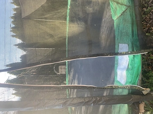 Trampolin 5 m Durchmesser Bild 2