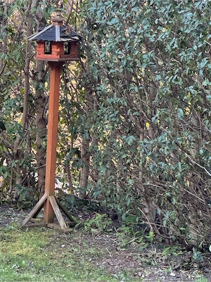 Vogelhäuschen Bild 3