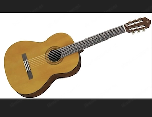 Suche Gitarre für Lebenshilfe