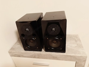 Audio Physic Seemon Monitor Regallautsprecher Bild 4