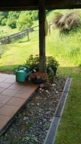 Sklave sucht dominante Frau oder Paar  Bild 2