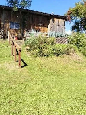 Sklave sucht dominante Frau oder Paar  Bild 3