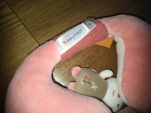 Kleines Nackenhörnchen Babyfehn Bild 2