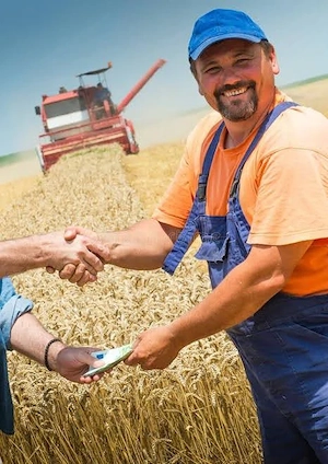 Kredite: Landwirtschaft, Industrie, Immobilien von 10.000   bis 900.000.000    Suchen Sie eine Finan Bild 3