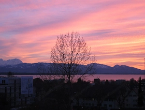1,5 Zimmer möbliert in Lochau zentrumsnah zur Langzeit- oder Kurzzeitmiete Bild 10