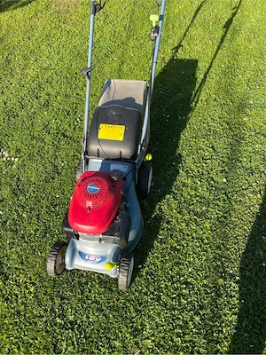 Honda IZY Rasenmäher Bild 2