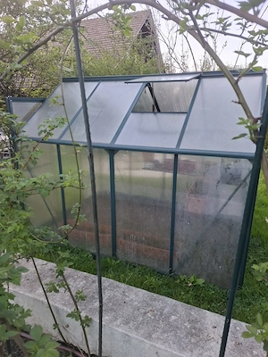 Gewächshaus aus Plexiglas  Bild 4