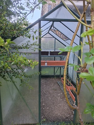Gewächshaus aus Plexiglas  Bild 2
