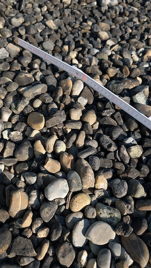 Rundkorn 16 32 ca. 7-8t gratis - Lieferung möglich - auch Teilmenge Bild 2