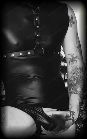 Weibliche Begleitung für einen erotischen Abend zu viert Bild 2