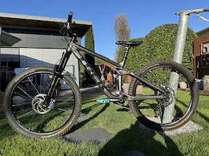 Trek Remedy 7