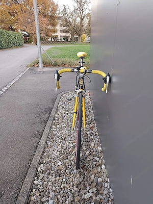 Mauro Milani Rennrad Bild 4