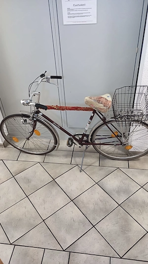 Simplon Herrenfahrrad   Bild 2