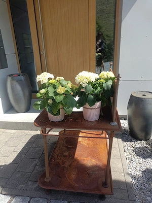 Alter,antiker Waschtisch mit Emailbecken Bild 5