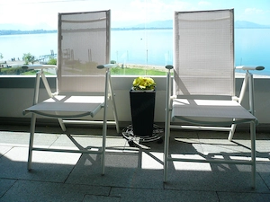 Brandneues Gartenstuhl-2er-Set  Weiß * Klassisches Design * Inkl. Rechnung! Bild 4