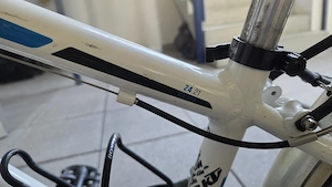 KTM Kinder- Jugendfahrrad 24 Zoll Bild 2