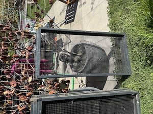 Stahlgitter mit Alurahmen Bild 2