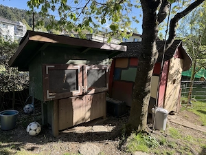 Kleintierstall massiv vom Tischler Bild 2