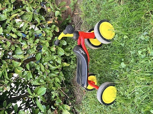 PUKY Pukylino Laufrad  Bild 5