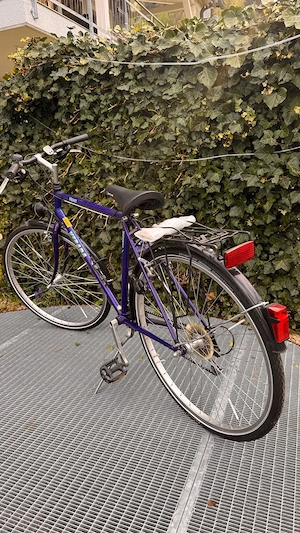 Fahrrad ab 12 Jahre Bild 3