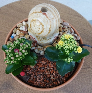 Zimmerbrunnen mit höheneinstellbarer, neuer Pumpe (siehe Rechnung).  Bild 4