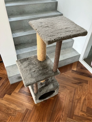 Kratzbaum Katze Bild 2