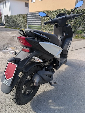 Piaggio Typhoon CA4 1 01 Moped   Mofa Bild 3