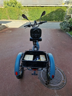 Fafrees F20 Mate E-Bike Dreirad Straßenzulässig Bild 4
