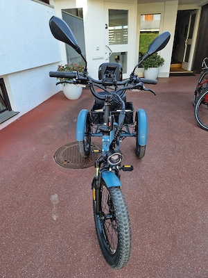 Fafrees F20 Mate E-Bike Dreirad Straßenzulässig Bild 3
