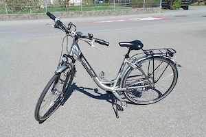 SIMPLON Damenfahrrad
