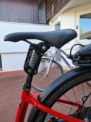 Simplon Chenoa E-bike Bild 4