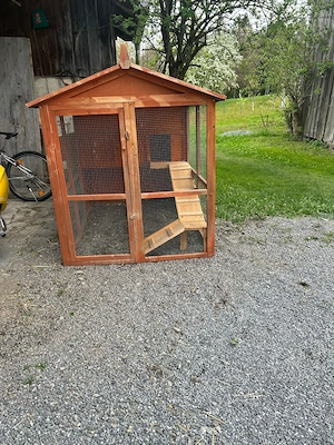 Kleintierstall Hase Meerschwein Bild 2