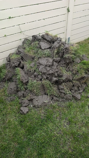 Kostenlose Erde aus dem Garten abzugeben Bild 2