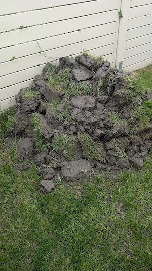 Kostenlose Erde aus dem Garten abzugeben Bild 3