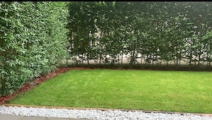 Moderne 2-Zimmer-Gartenwohnung Bild 7