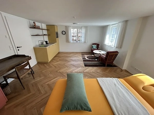 Therapieraum Praxis zur Miete für Physiotherapeuten, Ergotherapeuten, Masseure, u.Ä.m. Bild 7