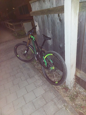 Procycle High-End Downhill Bild 4