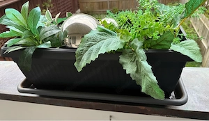     5er Set Balkon Pflanztöpfe mit Kunstpflanzen pflegeleicht Bild 3