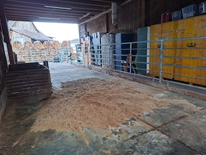 Einstellplatz frei   Wallach gesucht    Bild 2