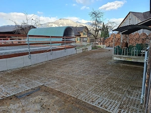 Einstellplatz frei   Wallach gesucht    Bild 3