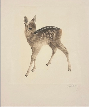 Kurt Meyer-Eberhardt (1895-1977) - 5 Radierungen: Junges Fohlen, Rehkitz, Hunde Bild 2