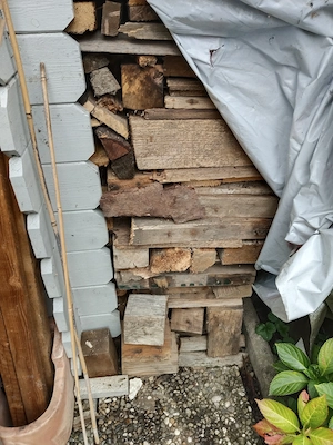 Brennholz geschnitten günstig Bild 2