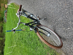 Damen Citybike Bild 3