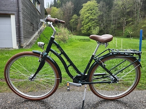 Damen Citybike Bild 2