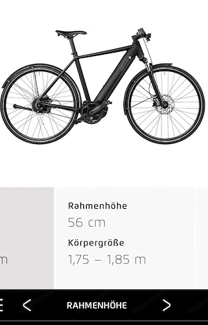 Riese & Müller Roadster Vario  Bosch CX Bild 8