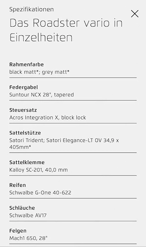 Riese & Müller Roadster Vario  Bosch CX Bild 9