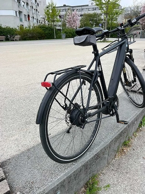 Riese & Müller Roadster Vario  Bosch CX Bild 3