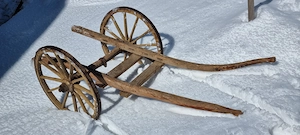 Frächterwägen Bild 3