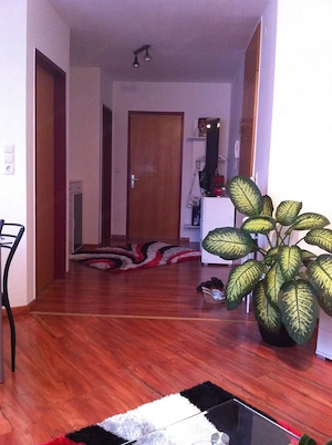 Dornbirn zentral gelegene 2 Zimmer Wohnung Bild 4