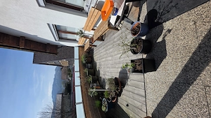 Maler, Lackierer und Verputz Arbeiten